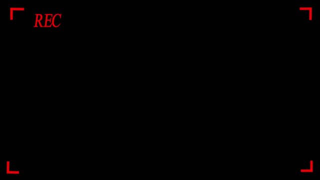 Recording sign, REC frame icon animation. Video camera recording screen, rec text camera recording icon blink animation.