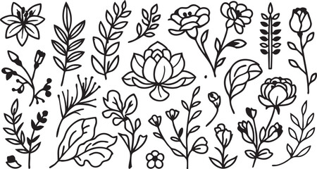 Black and white flower vector set: floral illustrations, botanical elements, line art eps silhouette