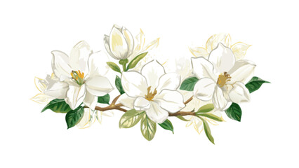 Fototapeta premium Watercolor illustration of white magnolia flowers and green leaves on a branch with a white background