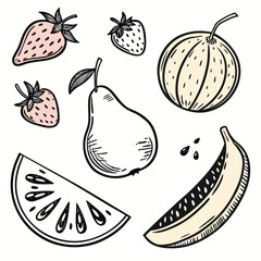 Hand drawn collection of fresh fruits including strawberries pear banana melon and citrus slice