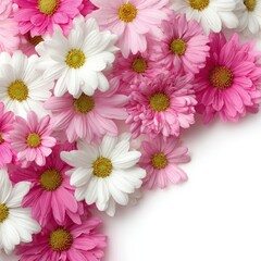 Pink And White Daisy Floral Arrangement