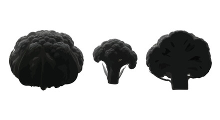Three silhouetted cauliflower and broccoli florets isolated on a vector