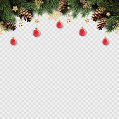 Christmas and New Year background with fir trees, isolated.	