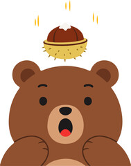 A sharp chestnut falling on the bear's head