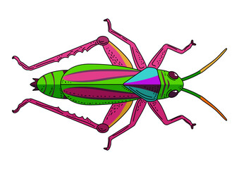 Colorful bright locust insect pest agriculture, gardens, eats crops, loss of harvest. Illustration for educational design, for insecticide packaging
