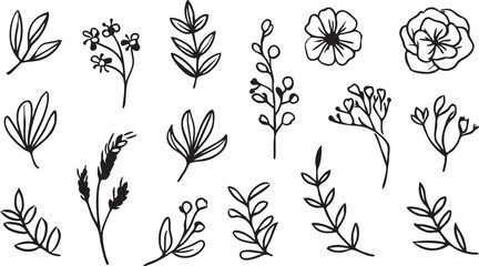 Floral vector pack: hand drawn flowers, leaves, and botanical elements eps silhouette