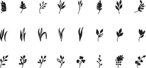 Vector leaves and plants: botanical illustration set for design eps silhouette