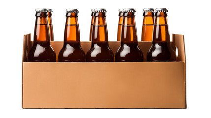 A six pack of brown beer bottles in a cardboard carrier against a black studio background image view