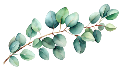 Serene Watercolor Eucalyptus Branch: Elegant Teal Leaves, Botanical Illustration, Tranquil Mood.