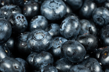 Fresh Blueberries with Water Droplets. Berry Background Close-Up.