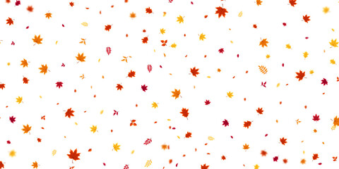 Autumn flying and falling leaves background with colorful seasonal foliage in red, orange, and yellow. Perfect for nature themes, seasonal sales, posters. Vector illustration