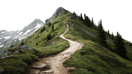 Scenic alpine mountain trail along ridgeline with conifer trees, isolated on transparent cutout background