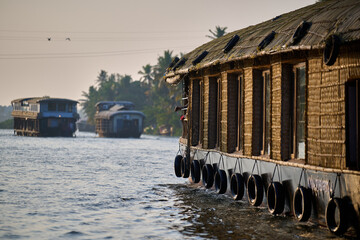 Scenic Houseboat Cruise on Alleppey Backwaters at Sunrise, Kerala, India