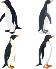 Fototapeta premium Penguins Vector Silhouette