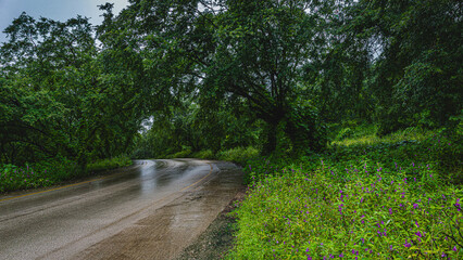 green in the midst of middle east 