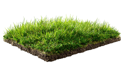 Lush sod patch as a rectangular tuft of bright spring grass with varied blade lengths and crisp root edge, isolated on transparent background.
