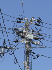 Medium voltage lines are connected to the switch at the top of the utility pole for safety.
