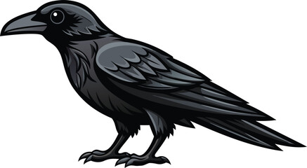 Fototapeta premium Majestic Black Crow Bird Illustration