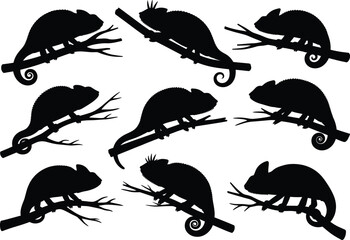 Chameleon silhouette set featuring nine perched poses with curled tails, branch variation, and head shapes for wildlife design use