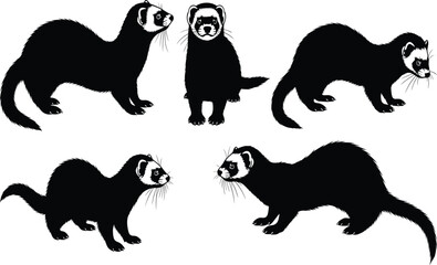 Ferret silhouette set featuring five realistic poses with white facial masks and elongated body shapes for wildlife and educational design use