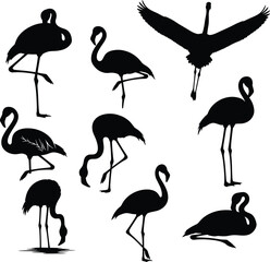 Flamingo silhouette set featuring standing, walking, and flying poses with curved necks, extended legs, and graceful wing detail