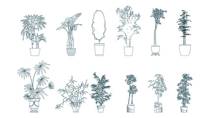 front View Vector Icons of Trees and Plants for Floor Plan and Architectural Design Projects	