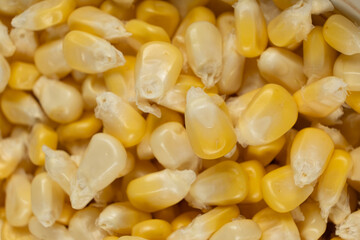 Fresh Raw Corn Kernels Macro Top View Texture