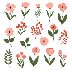 A collection of delicate pink flowers and berries arranged in a pleasing composition.