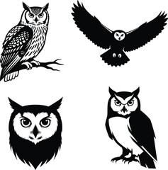 Owl illustration set featuring perched, flying, and headshot poses with feather detail, branch compositions, and expressive eye styling