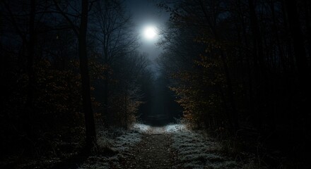 Eerie moonlight illuminates a dark woodland path in the silent night