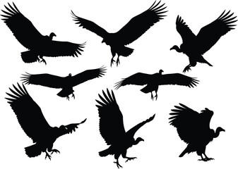 Obraz premium Vulture silhouette set featuring flying and landing poses with detailed wings and expressive motion for wildlife and educational design use
