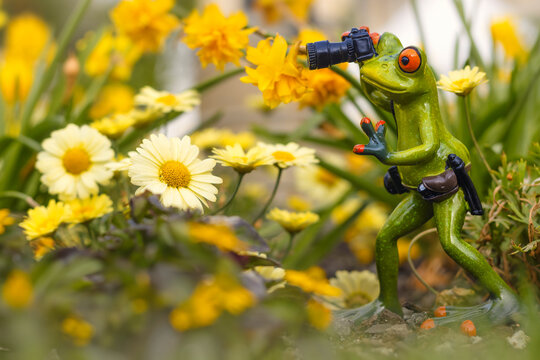 Photographer frog takes photos of flowers  - Powered by Adobe