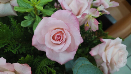 Flor