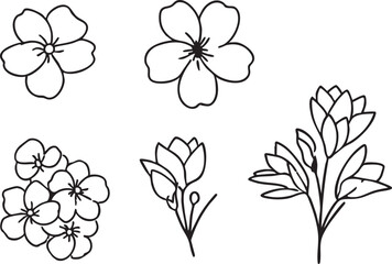 Floral vector art: flower line art, botanical illustrations, flower outlines eps silhouette