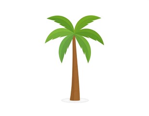 Cartoon palm tree illustration