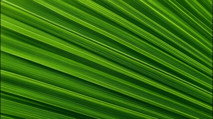 Radiant green palm leaf with vivid veins. AI generated