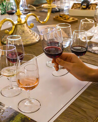 Close-up of different wine glasses with red, white and rose wine during a professional tasting session. Elegant hand holding a glass of red wine in a winery or restaurant setting. Concept of luxury