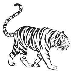 tiger vector illustration