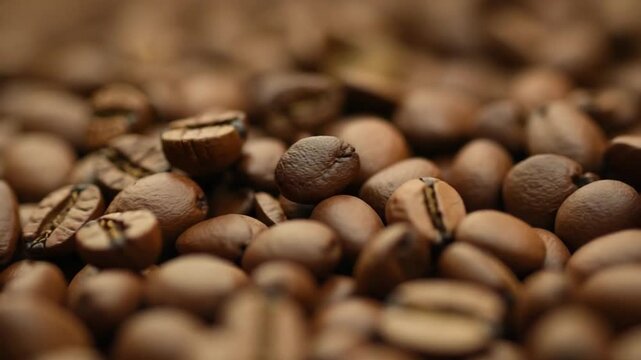 Close up of seeds of coffee