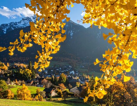 Autumnal village nestled in a valley, framed by vibrant ginkgo leaves and snow-capped mountains