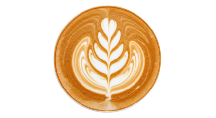 latte art coffee cup design foam milk 11.