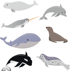 Marine mammals cartoon clipart in flat style. Sea animals vector illustration isolated on white background.