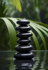 Fototapete Toilette Zen black stones with water drops, spa balance concept, tropical leaves background  © ElseThen