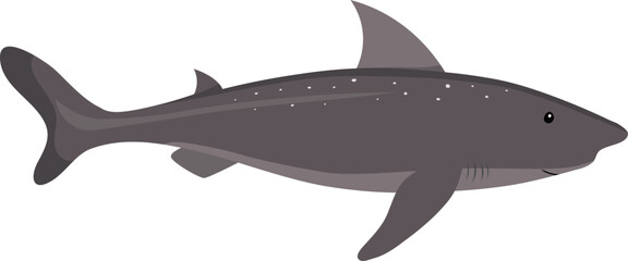 Cartoon smallhead shark isolated on white background. Vector in flat style for kids education.