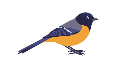 Obraz premium Colorful small bird perched on a ready for design