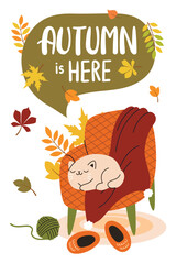 Fototapeta premium Autumn banner with lettering.Warm fall collection with tea, coffee, blanket and cat and soft armchair. Vector flat cartoon illustration