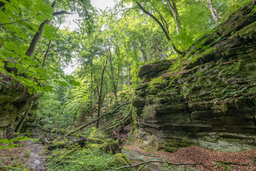 Beautiful green forest Hiking path with Sandstone chalk rock formations in Berdorf Mullerthal Luxembourg