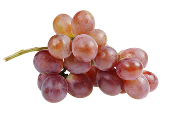 Grapes are very fresh on a white background.