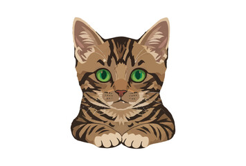 illustration of a ginger kitten sitting. cat logo