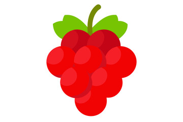 raspberry with leaves